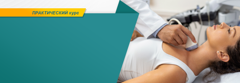 20/12 Сосуды шеи