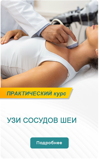 20 12 Сосуды шеи